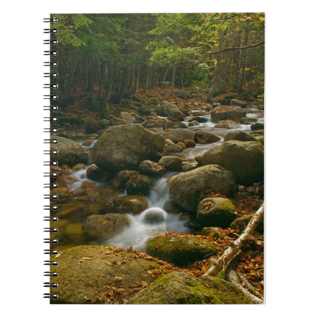 Cascading Stream  Spiral Notebook (Front)