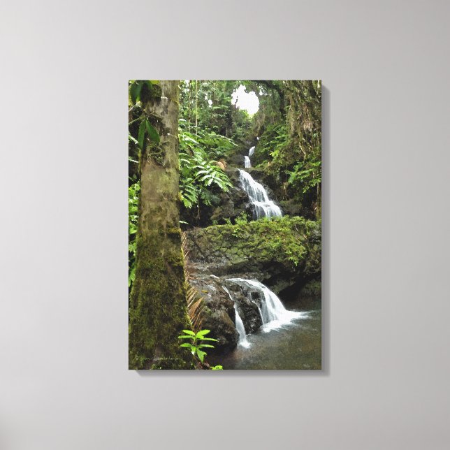 "CASCADING WATERFALL IN HAWAIIAN TROPICAL GARDEN" CANVAS PRINT (Front)