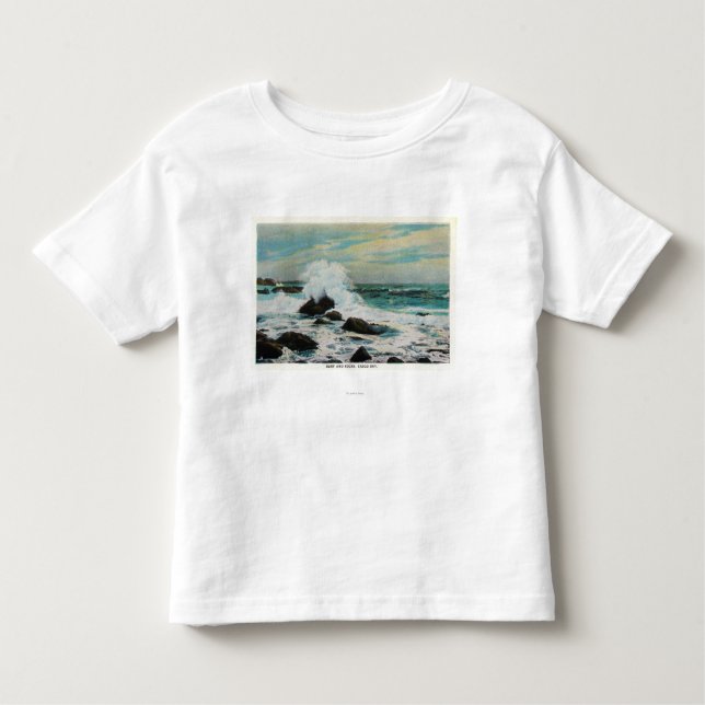 Casco Bay View of the Surf and Rocks Toddler T-Shirt (Front)