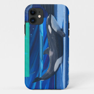 Case