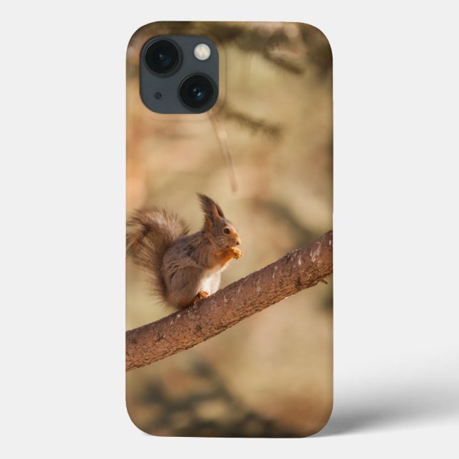 Case-Mate Barely There Apple iPhone 13 Case (Back)