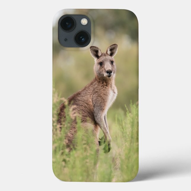 Case-Mate Barely There Apple iPhone 13 Case (Back)