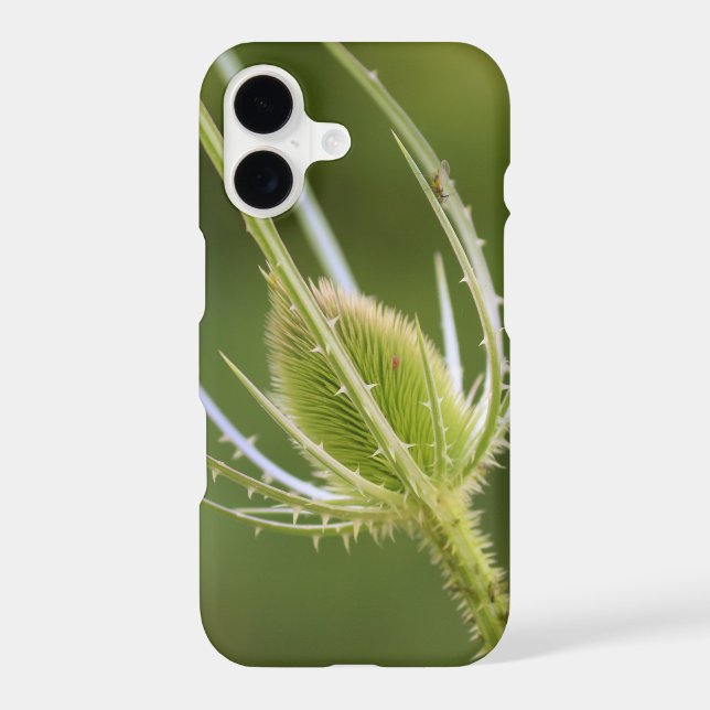 Case-Mate Barely There iPhone 8/7 Case (Back)
