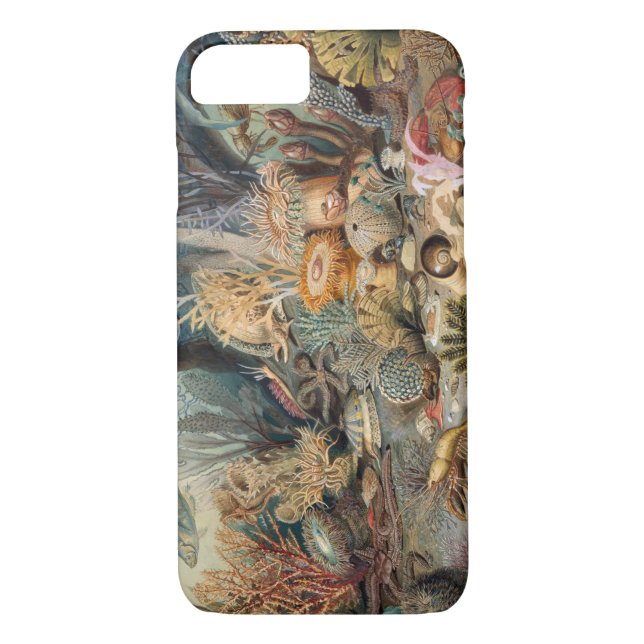 Case-Mate Barely There iPhone 8/7 Case (Back)