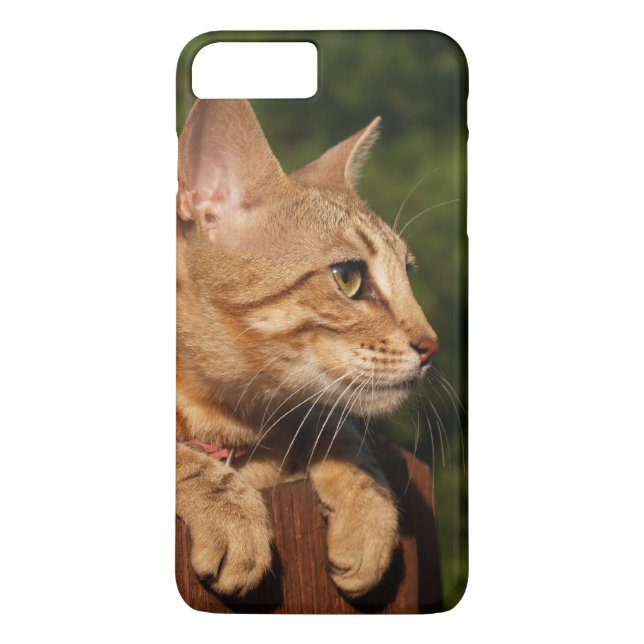 Case-Mate Barely There Plus iPhone 7 Case Kitten (Back)