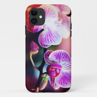 Case-Mate Case "Two Orchids Colourized"