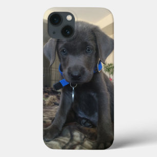  iPhone 13 CASE