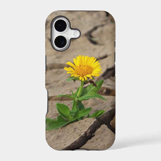 Case-Mate Tough Apple iPhone 11 Case (Back)