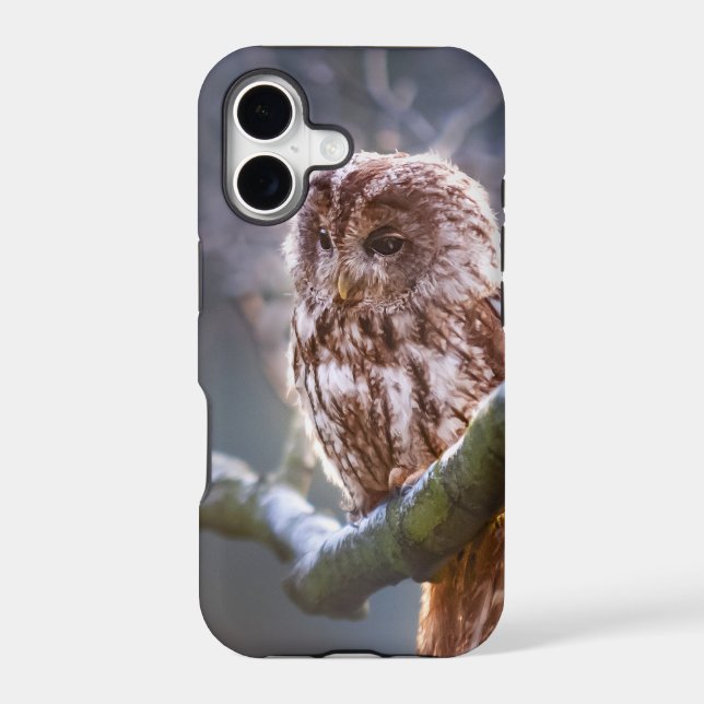 Case-Mate Tough Apple iPhone 11 Case (Back)