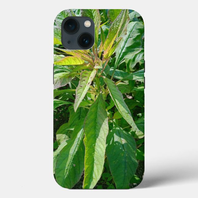 Case-Mate Tough Apple iPhone 13 Case (Back)