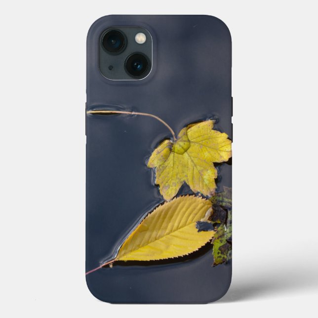 Case-Mate Tough Apple iPhone 13 Case (Back)