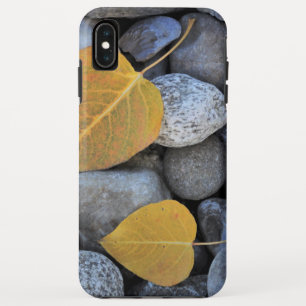 Case-Mate Tough Apple iPhone XS Max Case