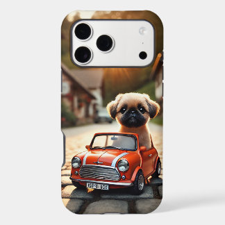 Case with mop and Mini Morris