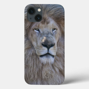 Caseper iPad Case