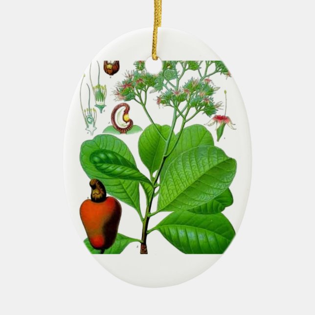 Cashew Ceramic Tree Decoration (Front)