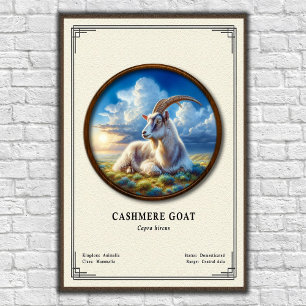 Cashmere Goat Zoology Series Poster