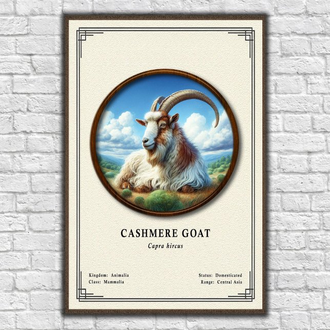 Cashmere Goat Zoology Series Poster (Creator Uploaded)
