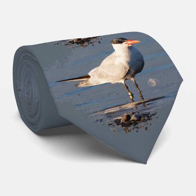 Caspian Tern at the Beach Tie (Rolled)