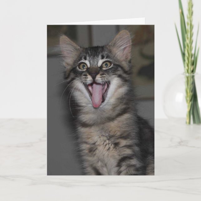 Caspian Yawning Kitten Blank Greeting Card (Front)