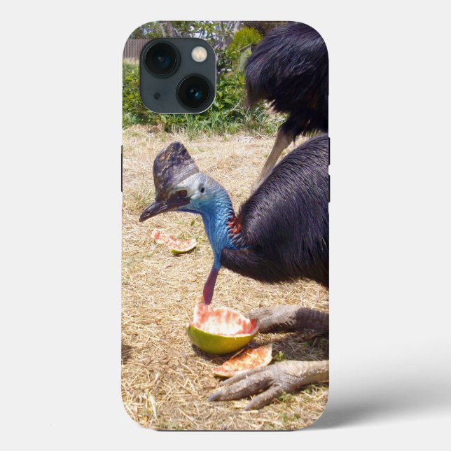 Cassowary Bird Eating Melons,  iPhone 13 Case (Back)