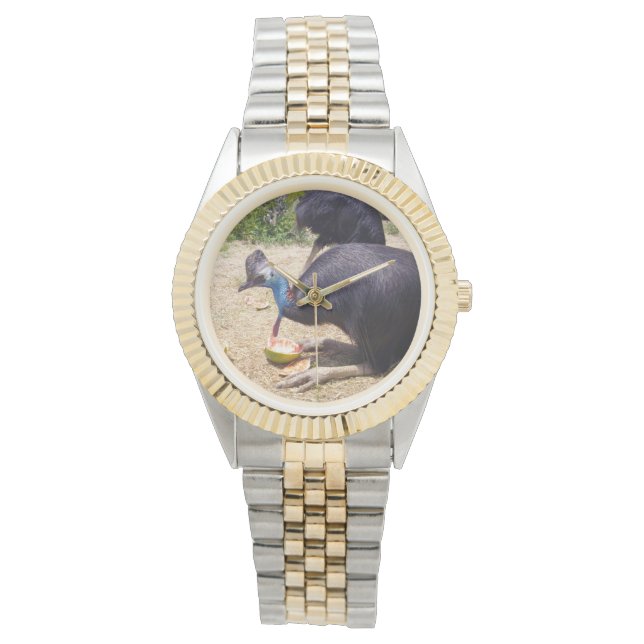 Cassowary Bird Enjoying Melons, Watch (Front)