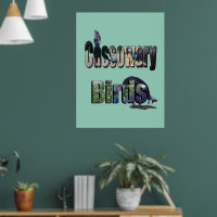 Cassowary Birds Is The Name,