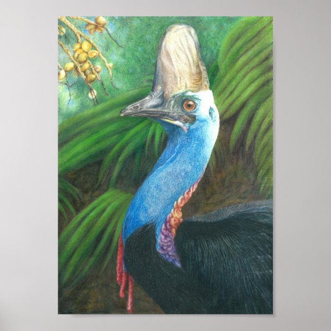 Cassowary Hand Painted Original Art Poster. Poster (Front)