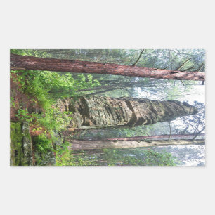 Castellated Mound in State Forest Rectangular Sticker