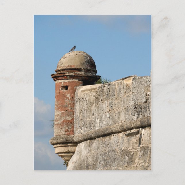 castillo de san marcos postcard (Front)