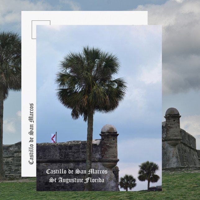 Castillo de San Marcos St Augustine FL Photo Postcard (Creator Uploaded)