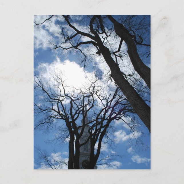 Castine Postcard - 2 (Front)