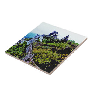 Castle in Sintra Portugal Tile