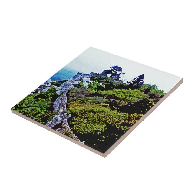 Castle in Sintra Portugal Tile (Side)