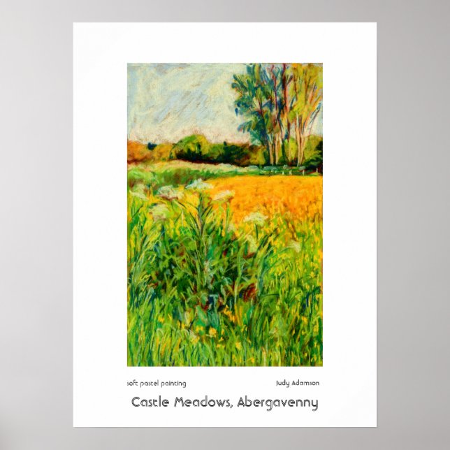 Castle Meadows, Abergavenny Print or Poster (Front)