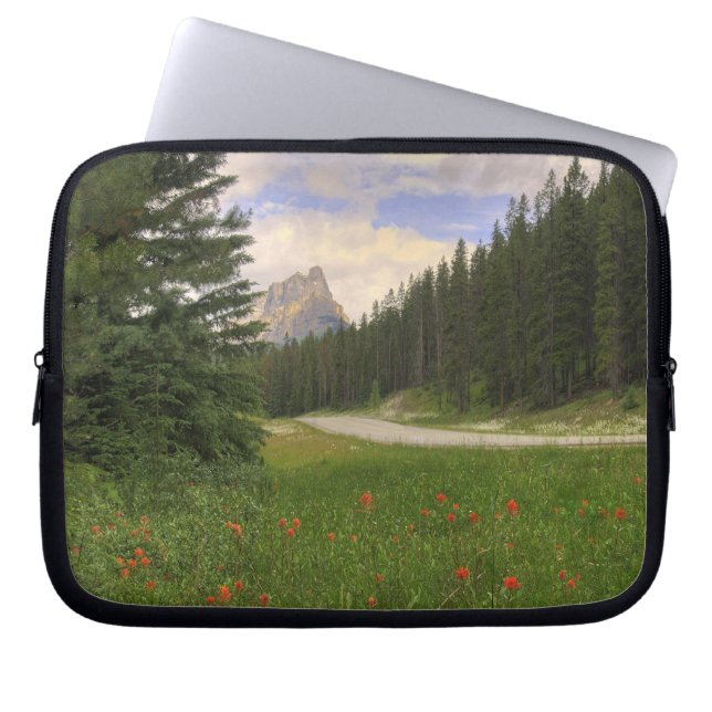Castle Mountain Banff Laptop Sleeve (Front)