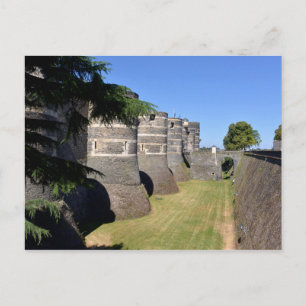 Castle of Angers in France Postcard