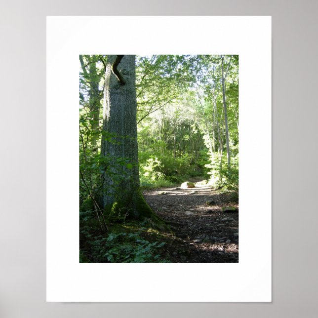 Castlehead Wood: Keswick Poster (Front)