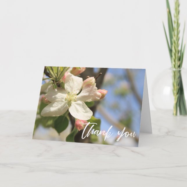 Casual Handwriting Thank You Apple Blossoms Card (Front)
