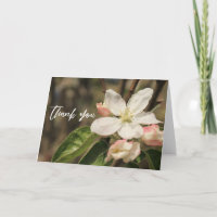 Casual Handwriting Thank You Apple Blossoms
