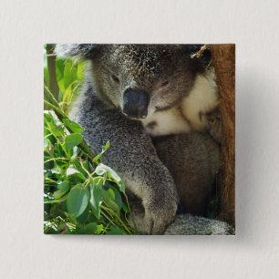 Casual Koala  Button