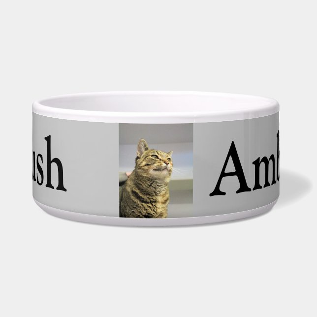 Cat (Front)