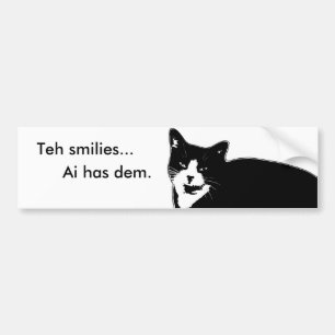 Cat2 Bumper Sticker