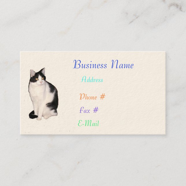 Cat 12, Business Cards (Front)
