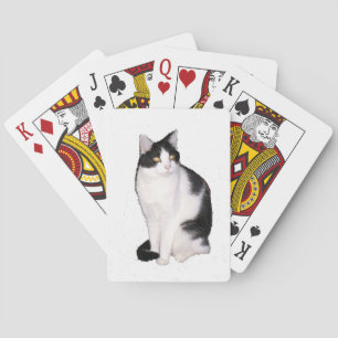 Cat 12 Playing Cards