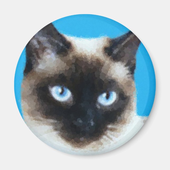 Cat 1 magnet (Front)