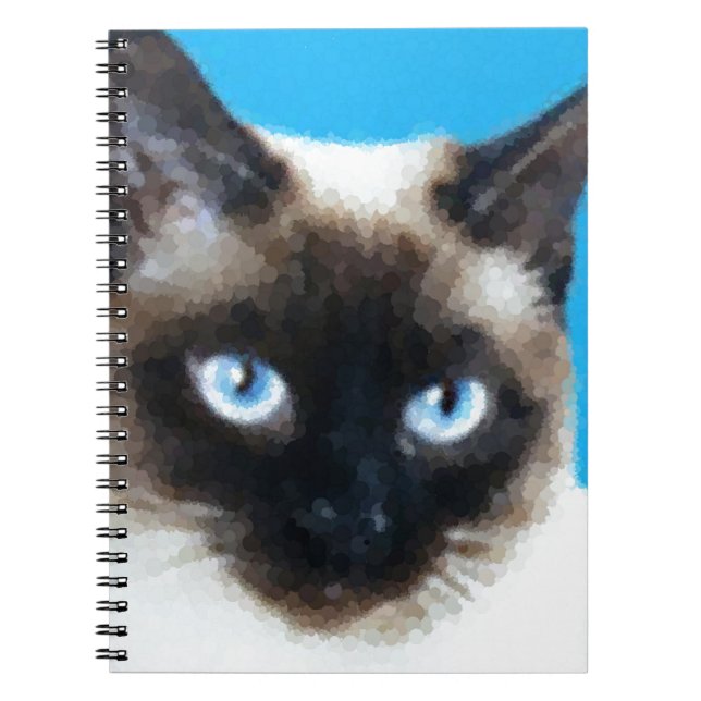 Cat 1 spiral notebook (Front)