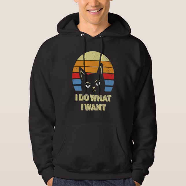 Cat   2022 Retro Cat I Do What I Want Cat 15 Hoodie (Front)
