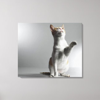 cat 3 canvas print