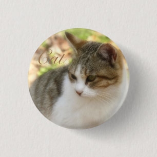 Cat 3 Cm Round Badge