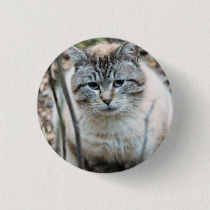 Cat 3 Cm Round Badge